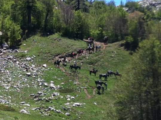 Escursioni a cavallo Piani di Pollino