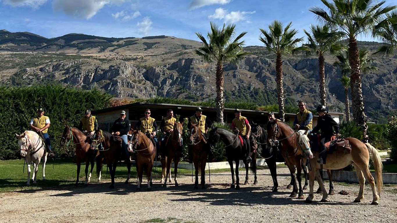 Esplorare la bellezza dei parchi a cavallo